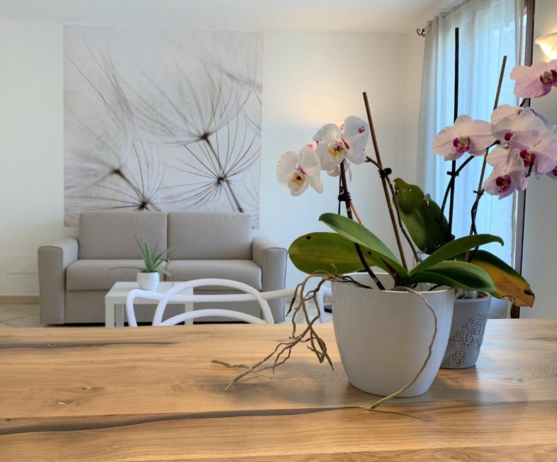 Apartmán Casa Ulivi Bianco Rivoltella del Garda Exteriér fotografie